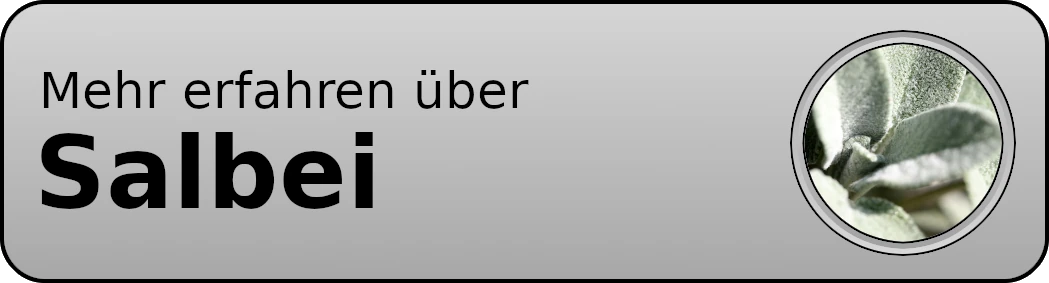 Button-Salbei001